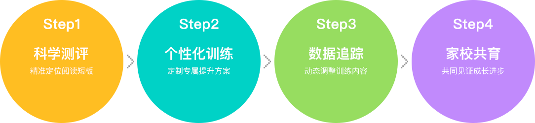 训练过程